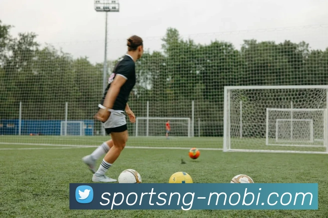 南宫体育平台生态图