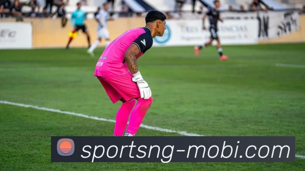 南宫体育APP 封面图